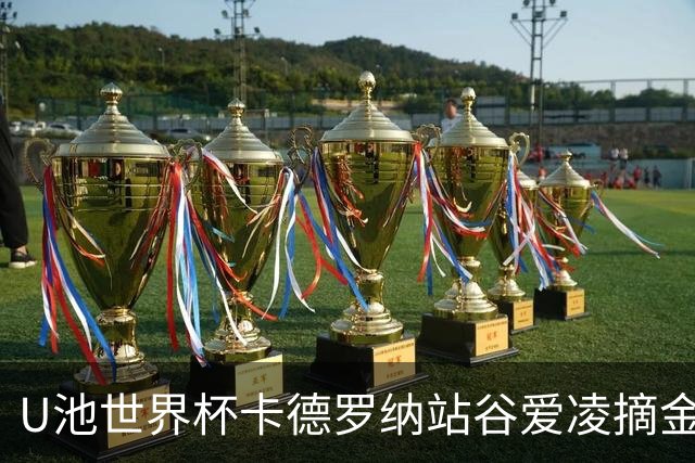 U池世界杯卡德罗纳站谷爱凌摘金 15个冠军创纪录